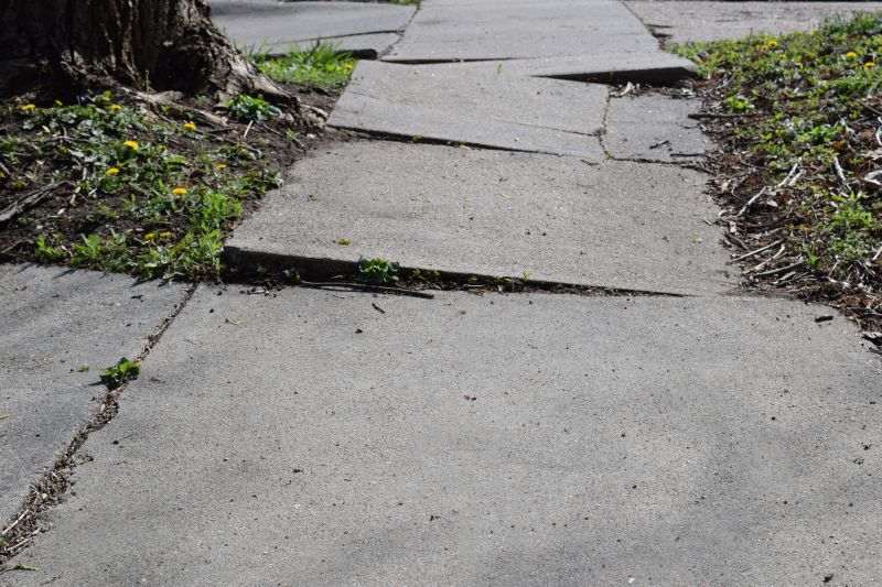 Community Sidewalk Repair